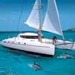 Bahia 46
