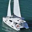 Leopard 39