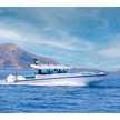 Axopar 37 XC Cross Cabin