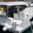Bali Catspace Voile
