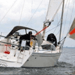 Delphia 31