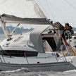 Delphia 31