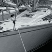 Delphia 31