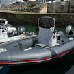 Narwhal 670