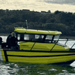 Norden 695