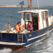 Rhea 730 Timonier