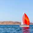 X Yacht 46
