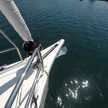 Dufour 430 Grand Large