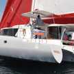 Neel 45