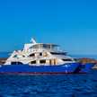 Ocean Spray Custom