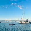 Saona 47