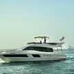 Majesty 48