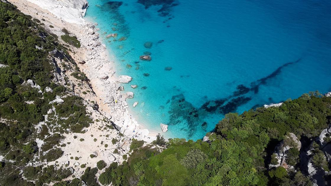 barca sardegna