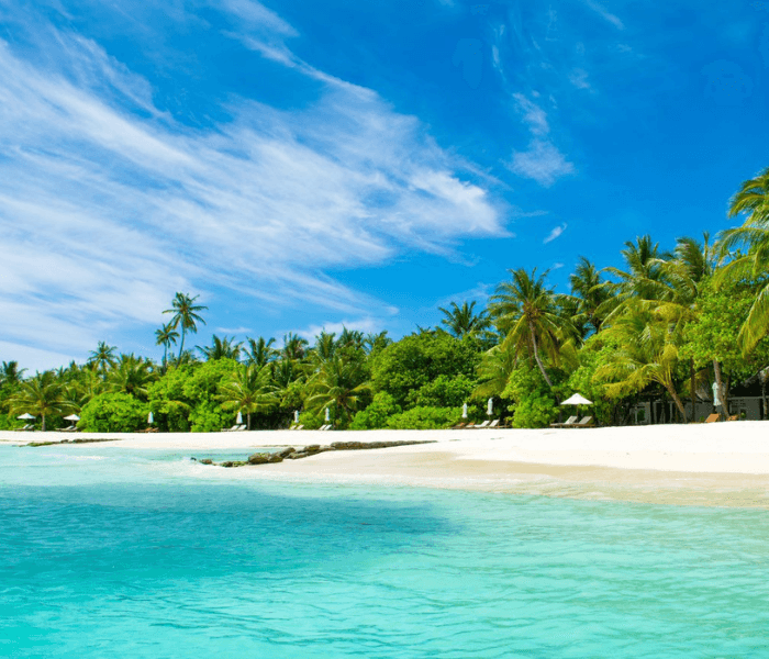 Strand Karibik Palmen Wasser 