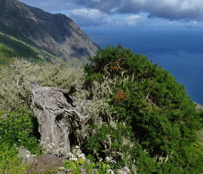 Landschaft auf El Hierro 