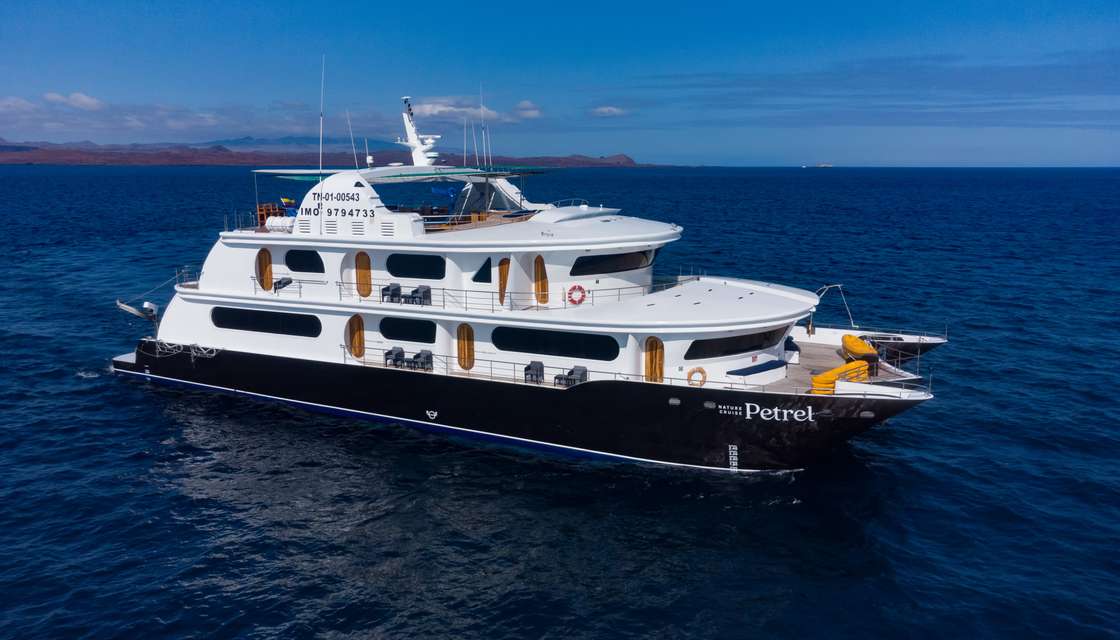 Petrel Custom