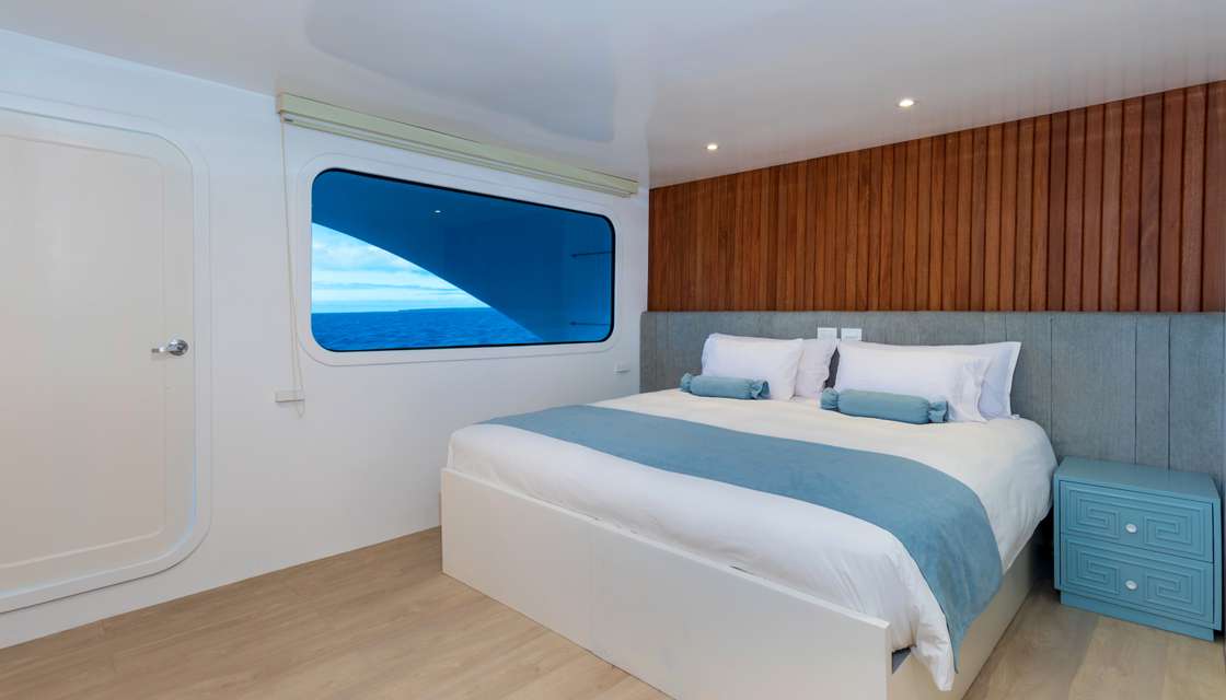 Ocean Spray Custom