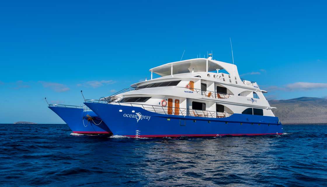 Ocean Spray Custom