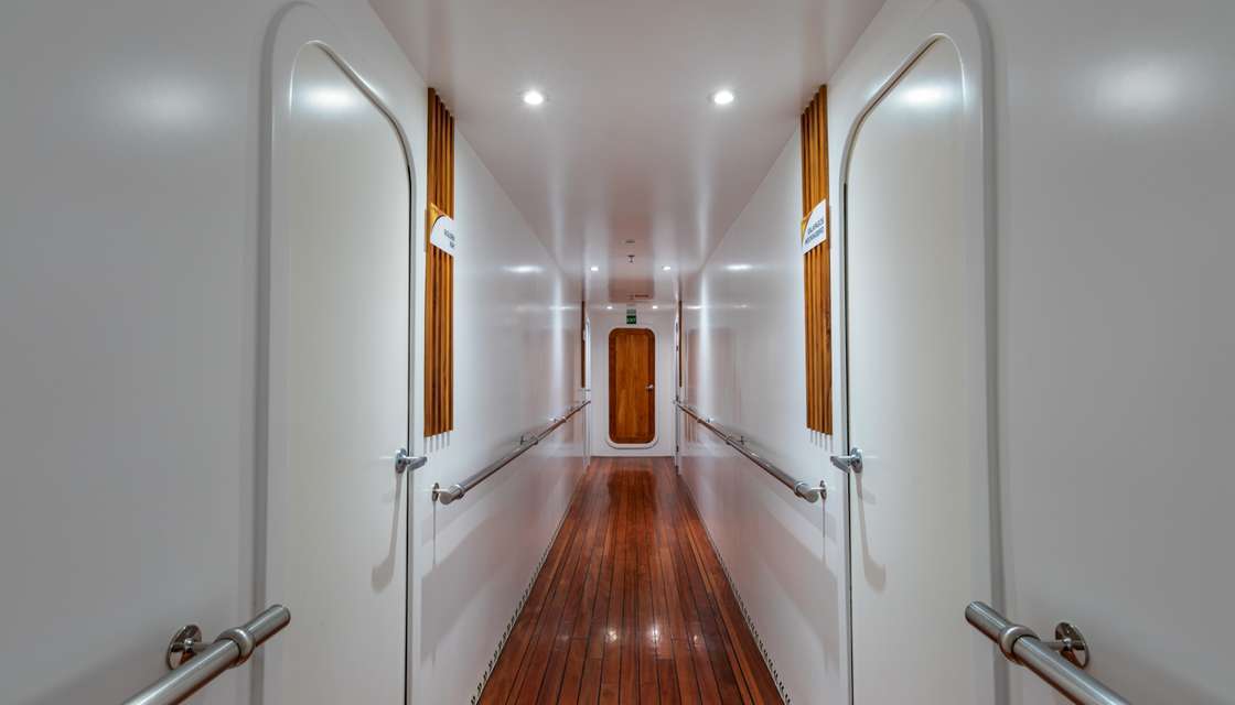 Ocean Spray Custom