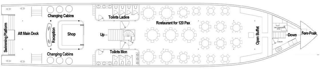 Layout 1