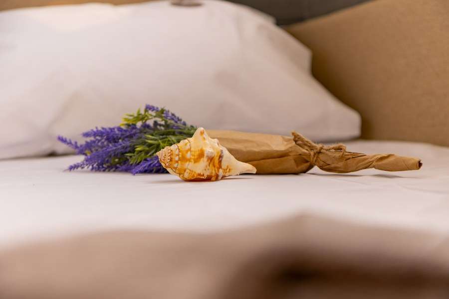 Axopar 37 XC Cross Cabin