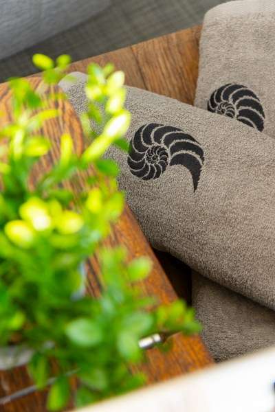 Axopar 37 XC Cross Cabin