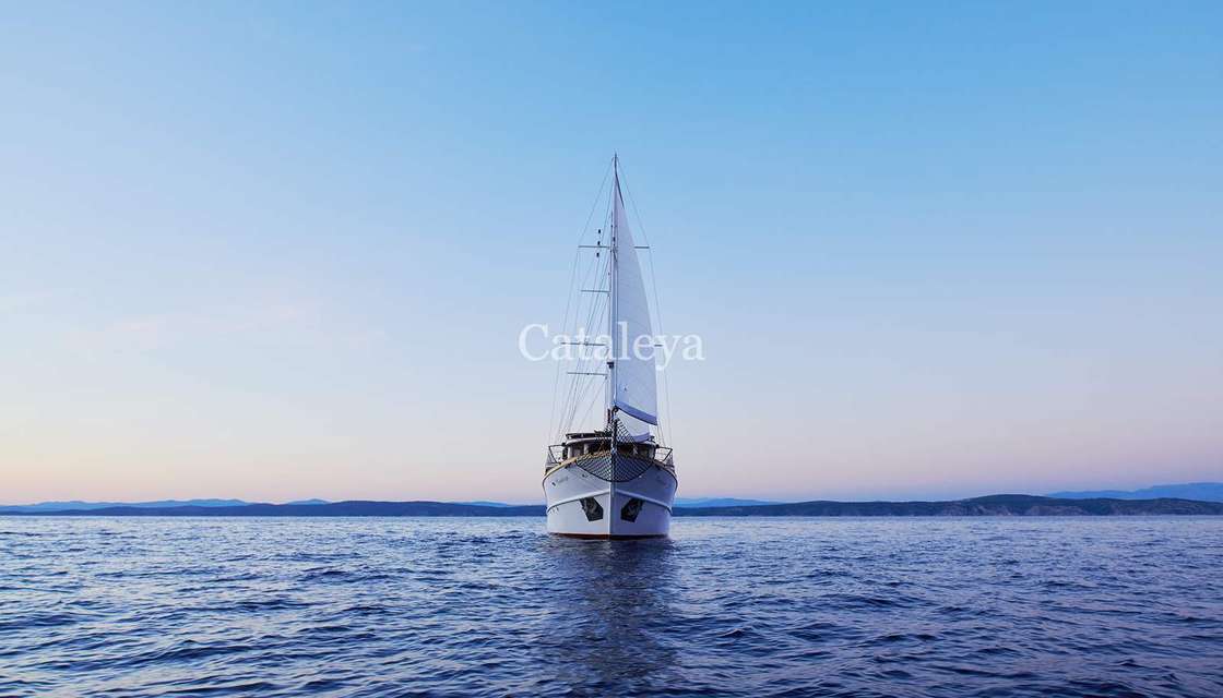 Cataleya (Ex Vjeko)