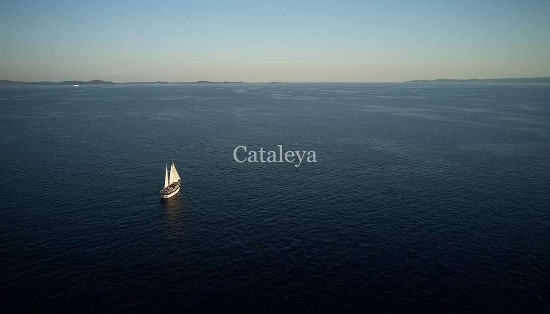 Cataleya (Ex Vjeko)