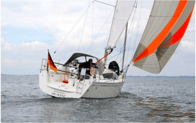 Delphia 31