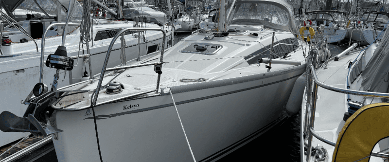 Delphia 31