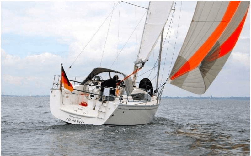 Delphia 31