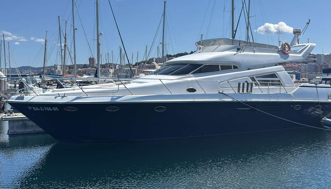 Johnson 56