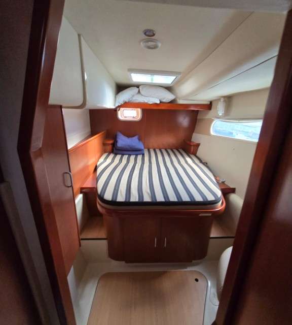 Leopard 46