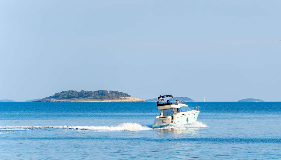 Monte Carlo 5