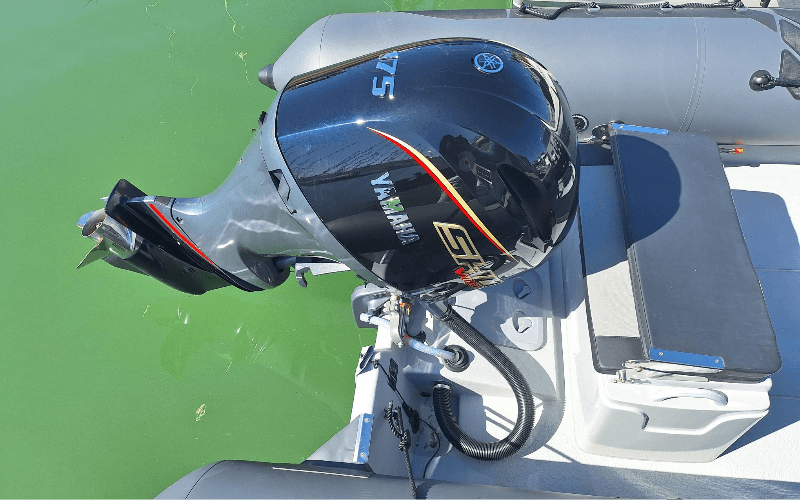 Narwhal 670
