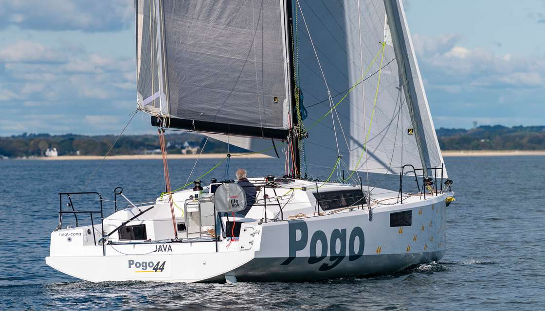 Pogo 44