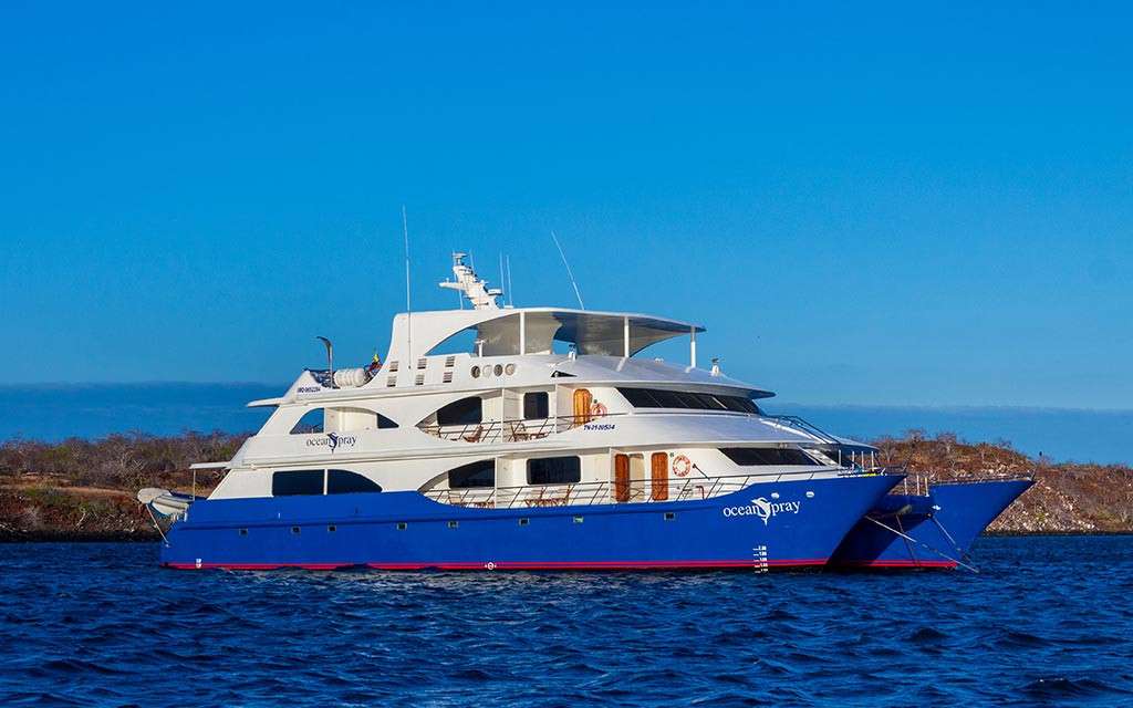Ocean Spray Custom