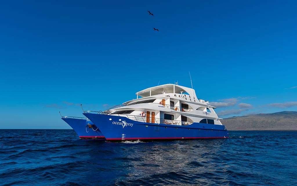 Ocean Spray Custom
