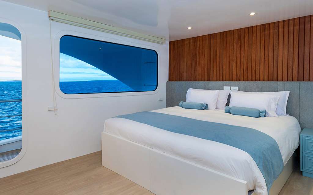 Ocean Spray Custom