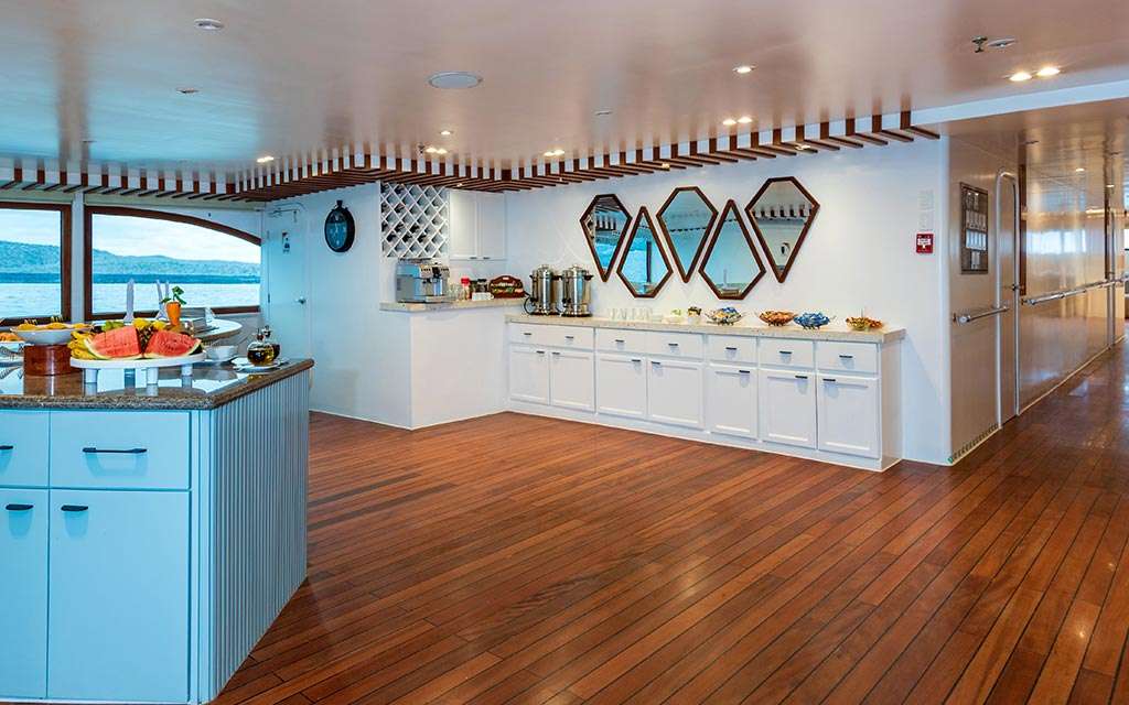 Ocean Spray Custom