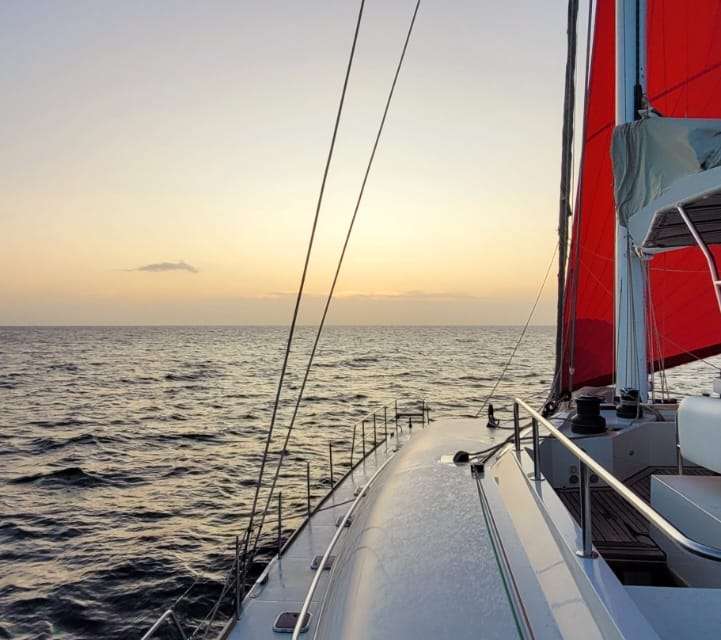 Sunreef 62