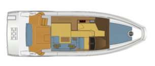 Astondoa 43