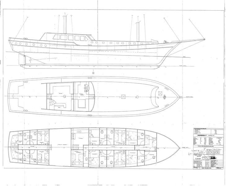 Distribución del barco Caferoglu 7