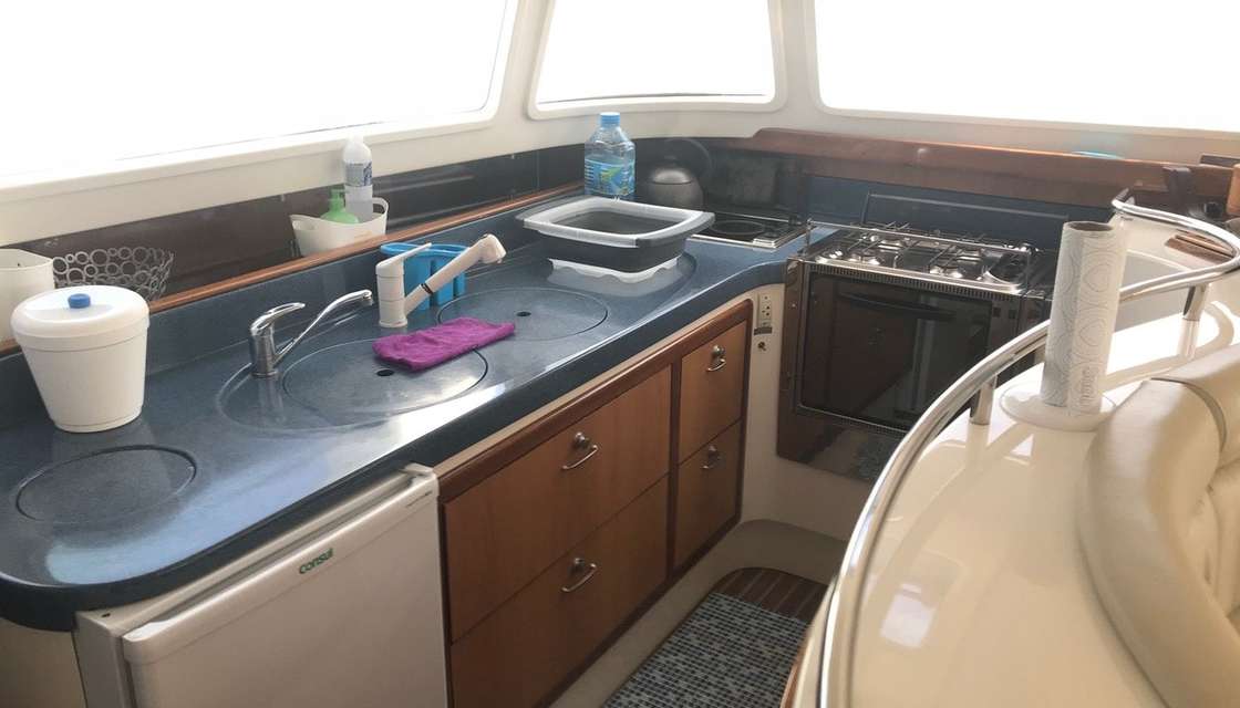 Dolphin 460