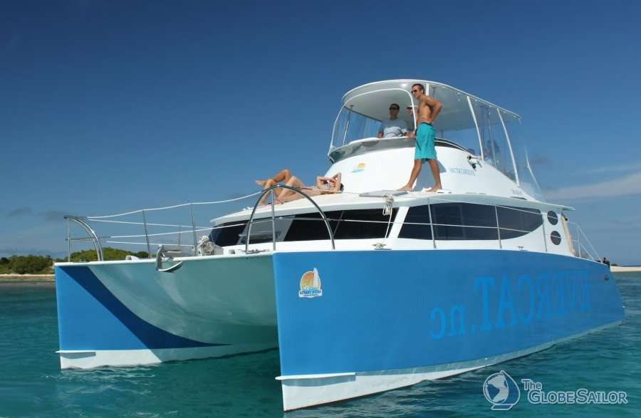 Evercat 36
