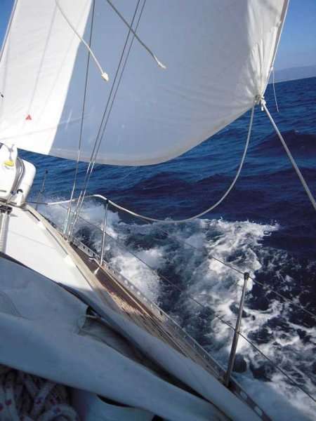 Furia 37