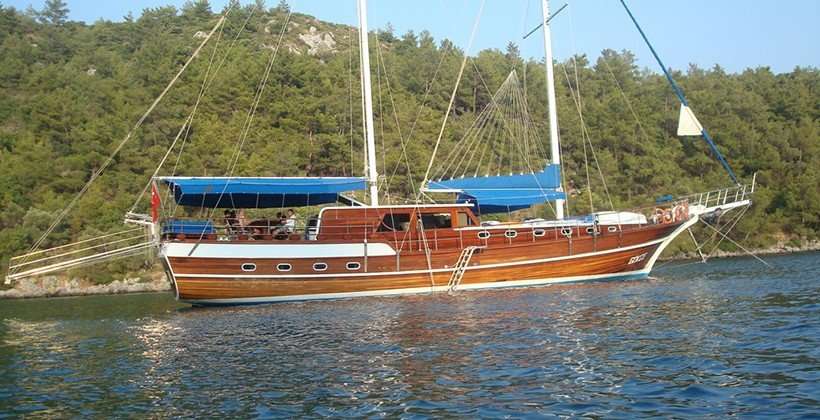 Gokce 1