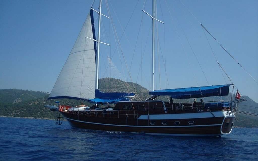 Gokce 1