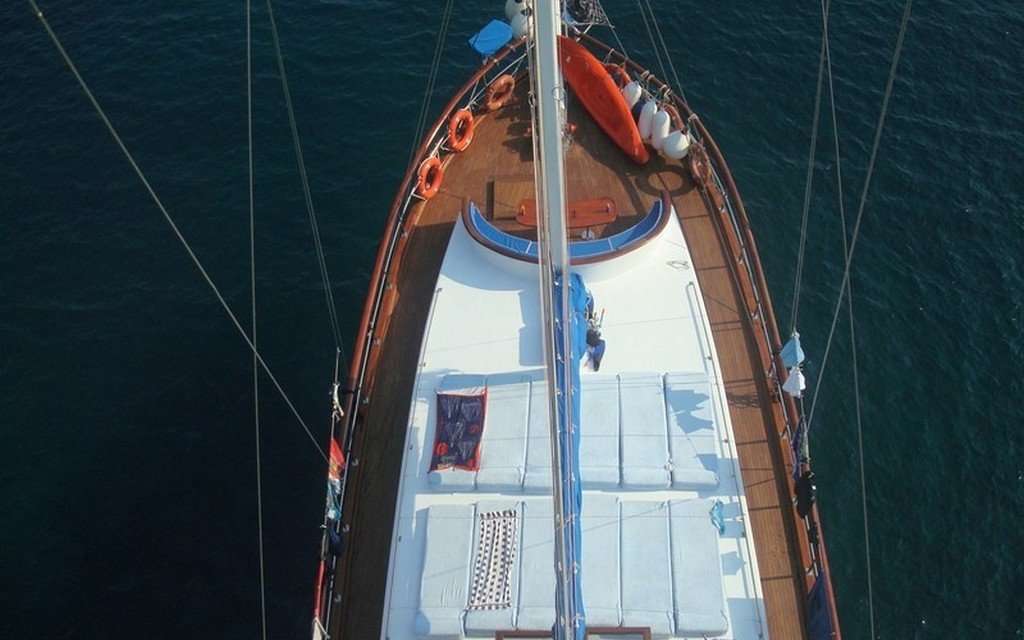 Gokce 1