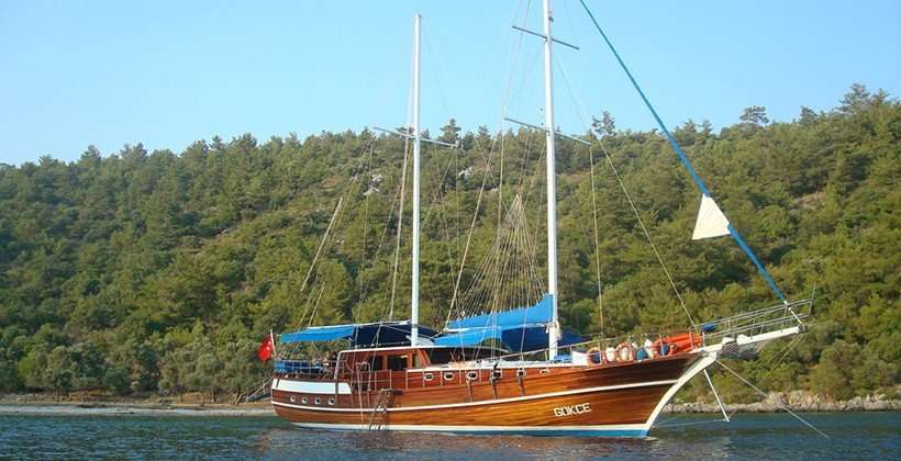 Gokce 1